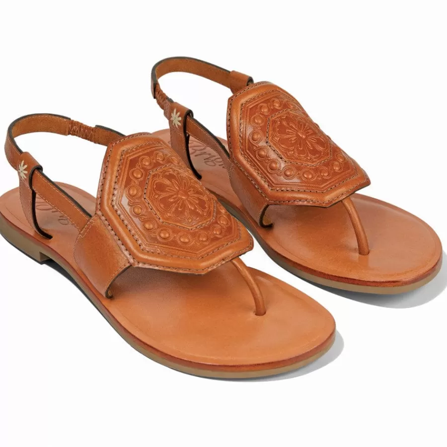 Sandals>Brighton Ancona Thongs Cognac