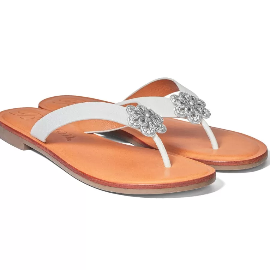 Sandals>Brighton Aster Flower Thongs