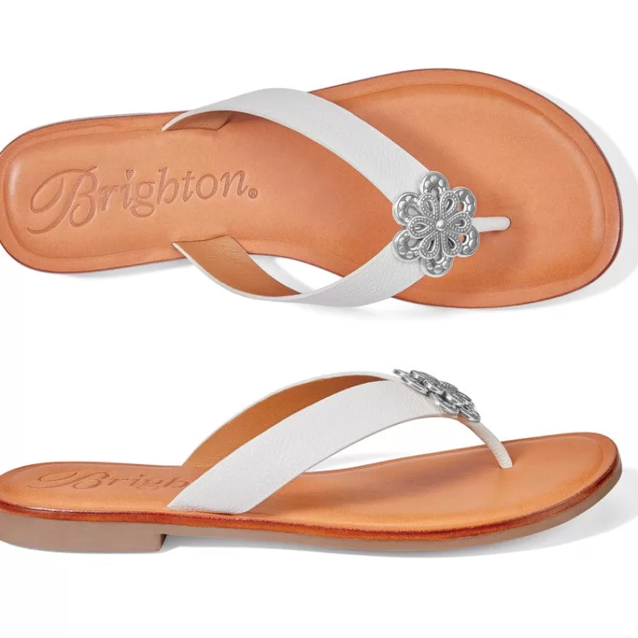 Sandals>Brighton Aster Flower Thongs