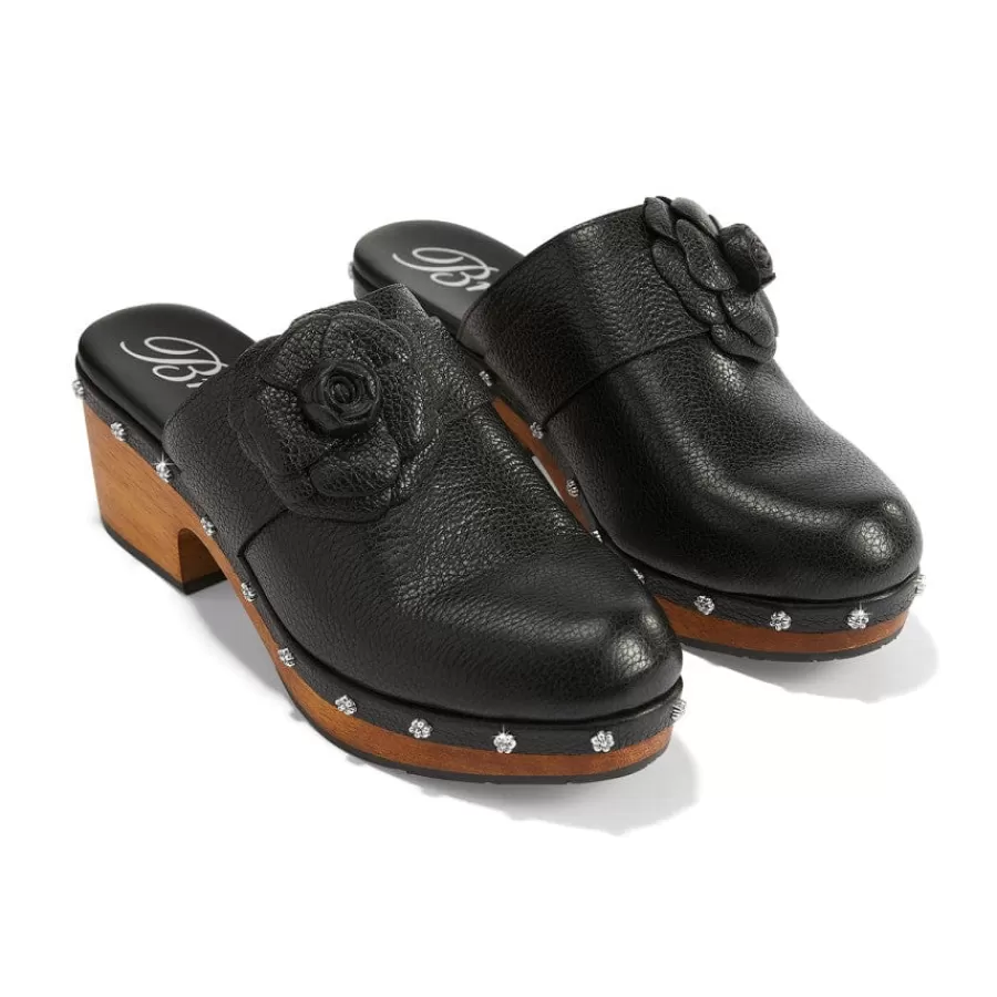 Heels>Brighton Camila Clogs Black