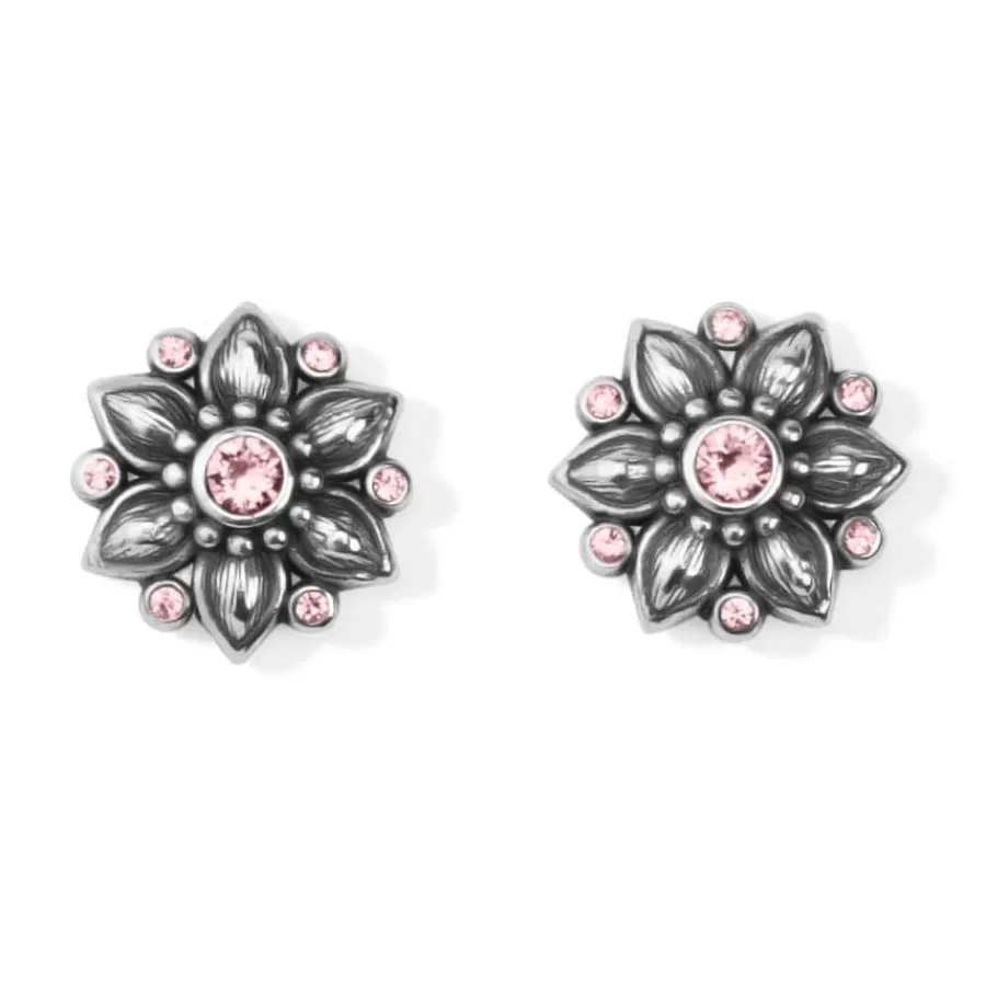 Earrings>Brighton Cora Mini Post Earrings