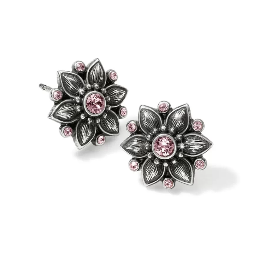 Earrings>Brighton Cora Mini Post Earrings