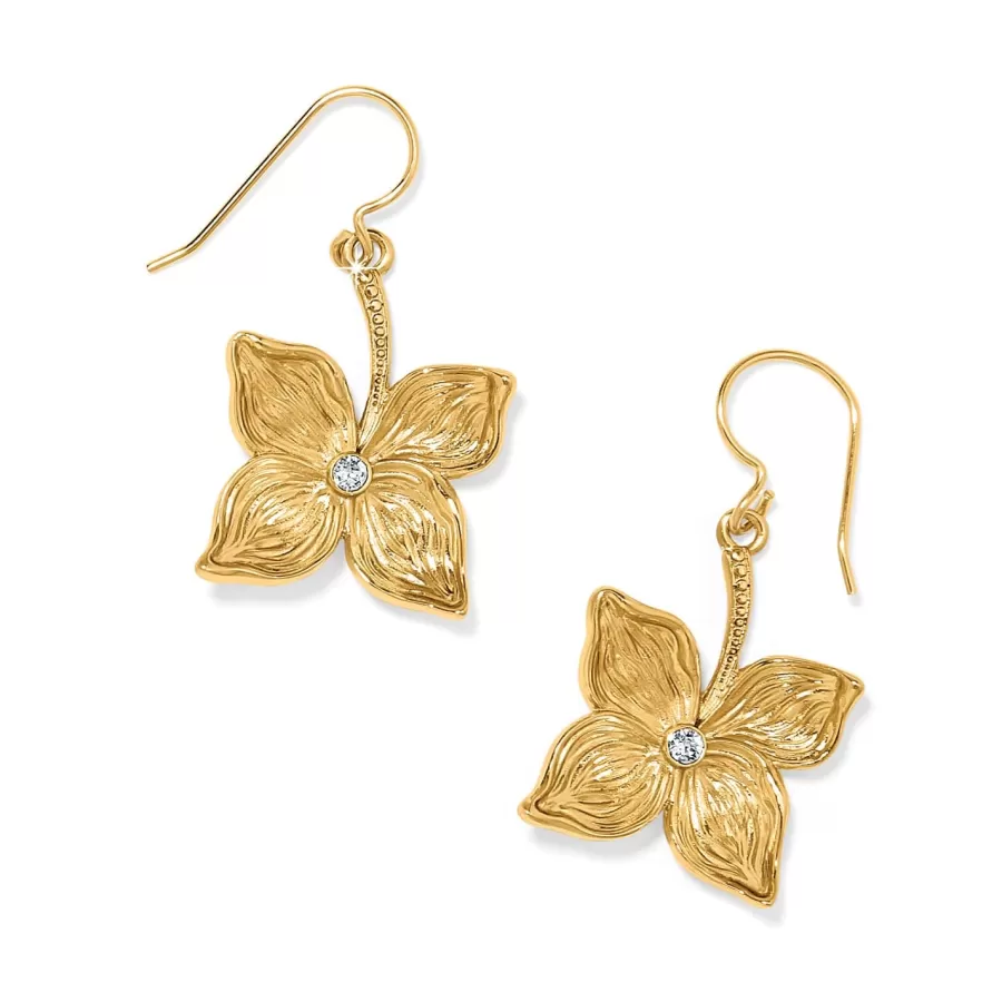 Earrings>Brighton Everbloom Flower French Wire Earrings