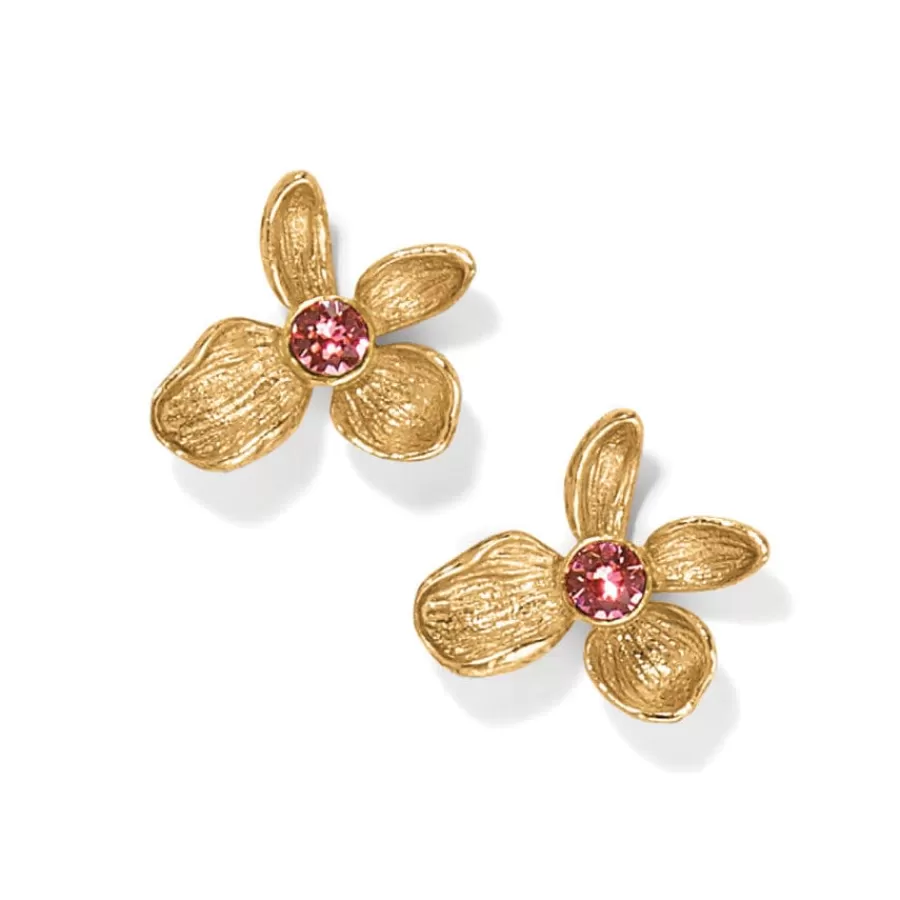 Earrings>Brighton Everbloom Jardin Golden Post Earrings Gold-Pink