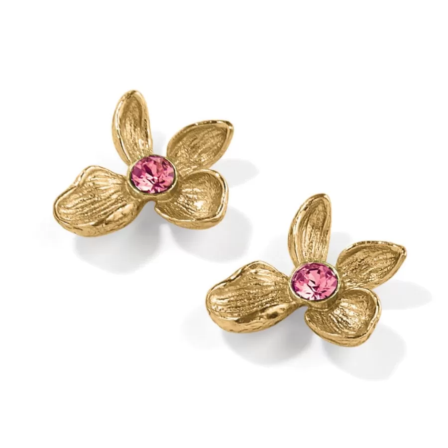 Earrings>Brighton Everbloom Jardin Golden Post Earrings Gold-Pink