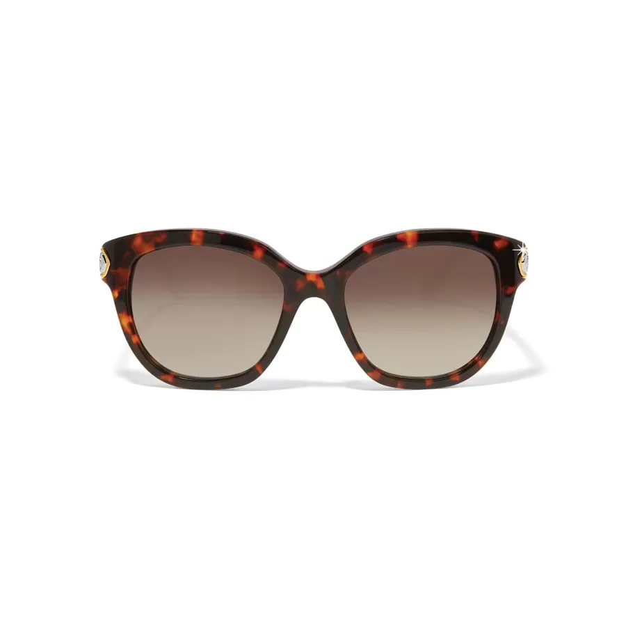 Sunglasses & More>Brighton Intrigue Tortoise Sunglasses Amber