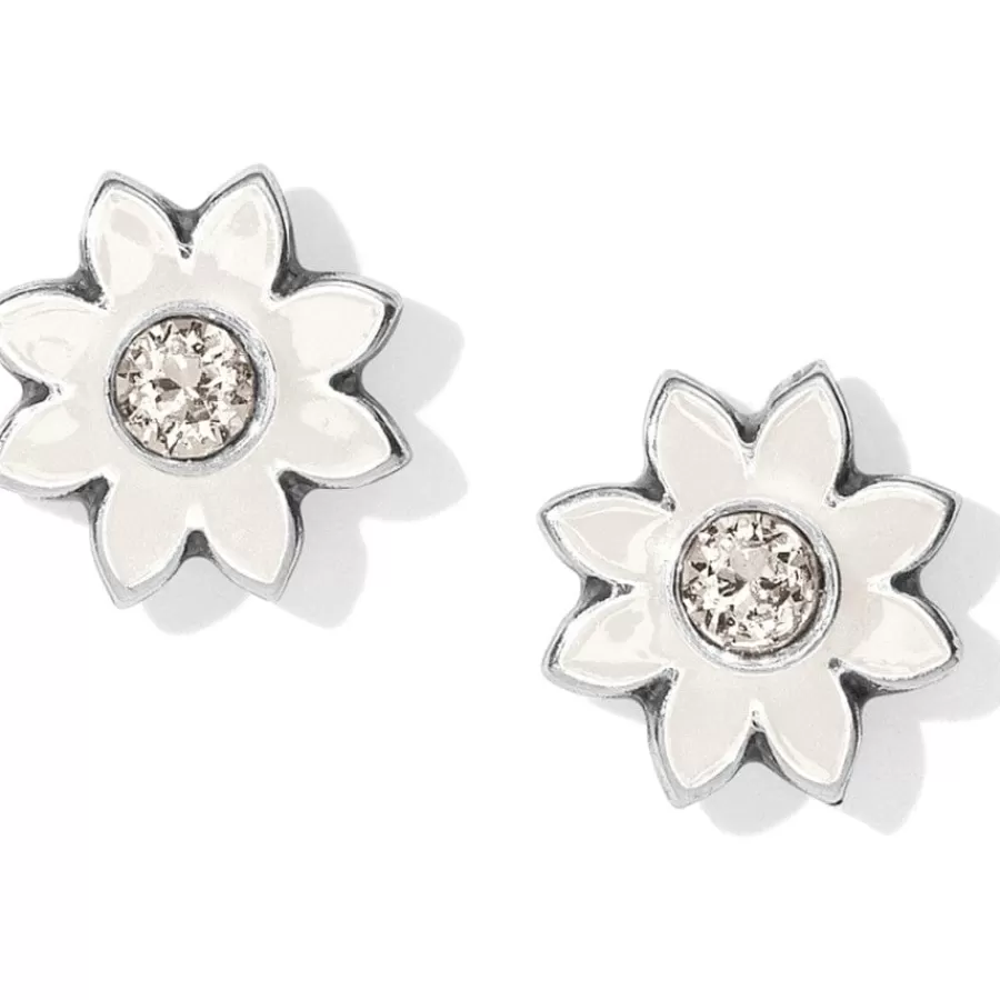 Earrings>Brighton Jasmine Mini Post Earrings Silver-White