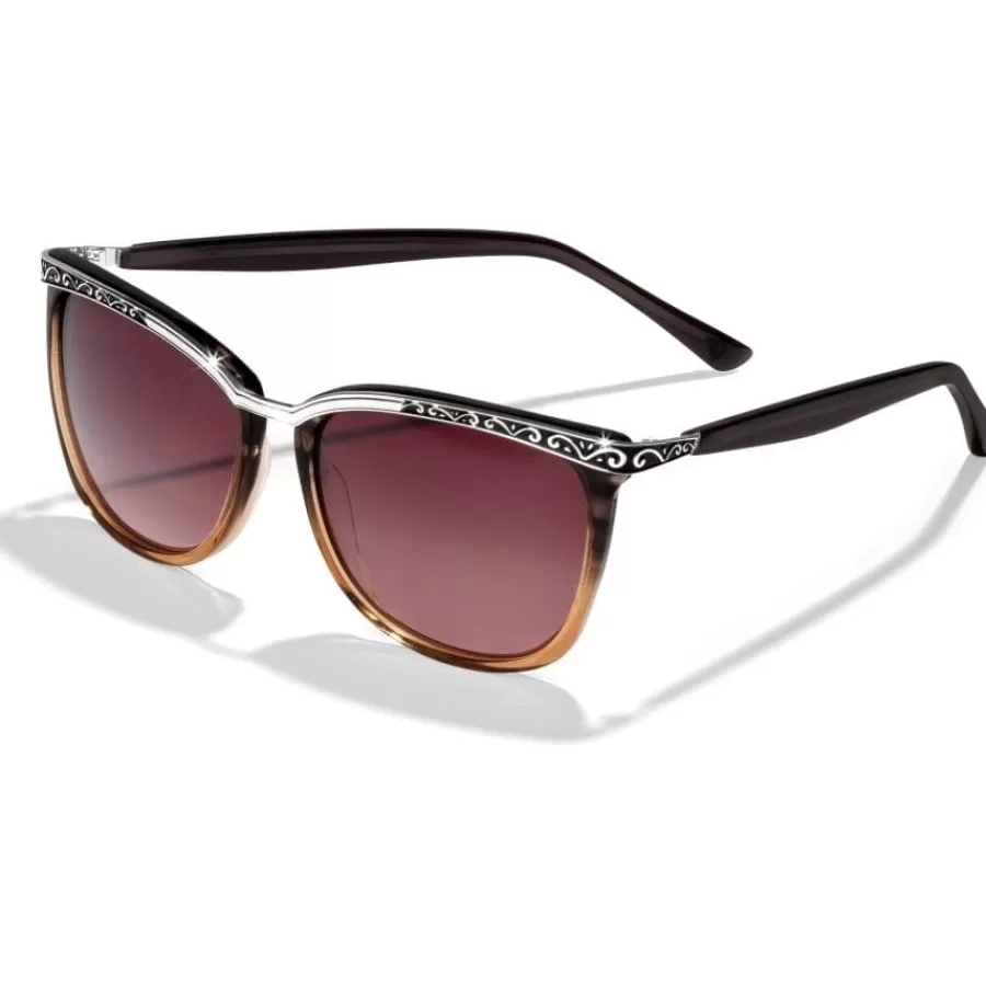 Sunglasses & More>Brighton La Scala Fade Sunglasses Brown