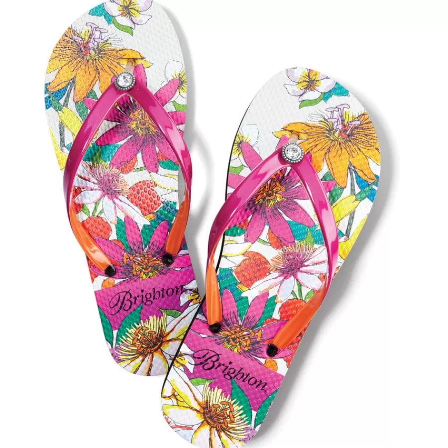 Flip Flops>Brighton Maui Flip Flops Multi