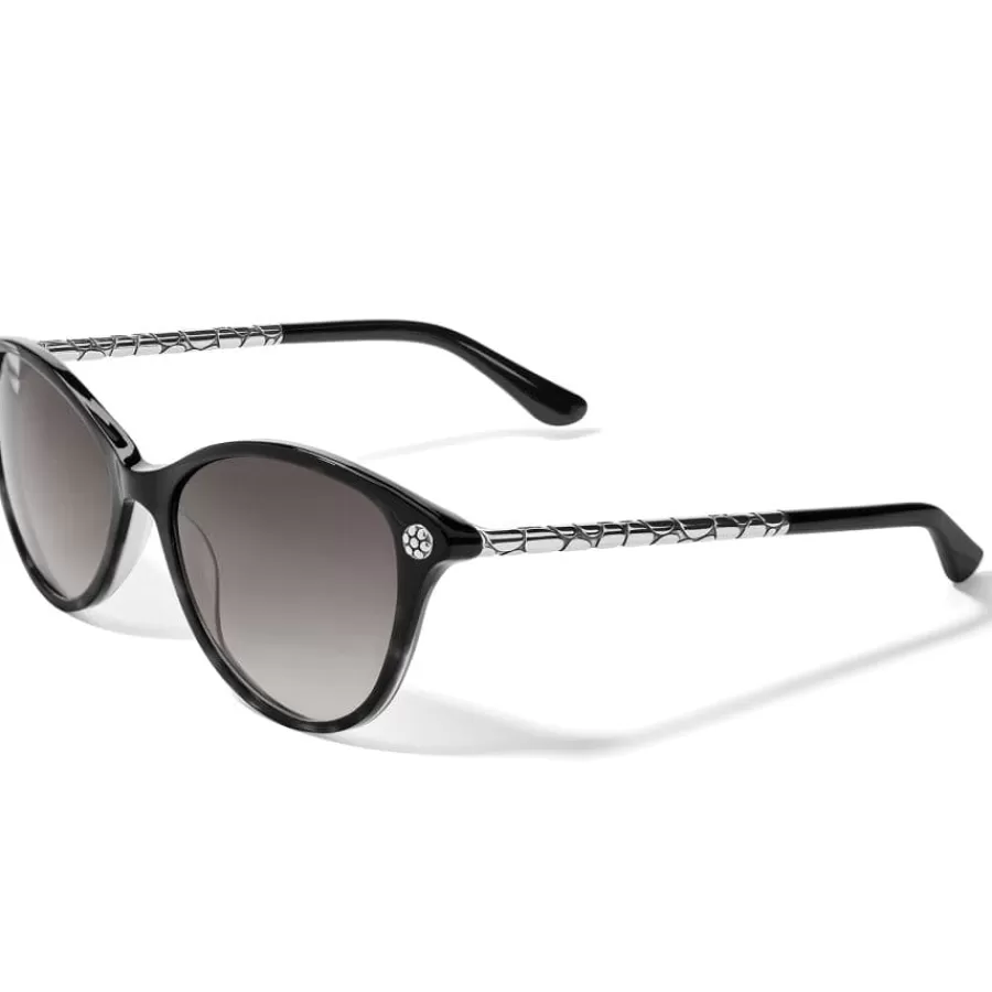 Sunglasses & More>Brighton Pebble Mix Sunglasses Black