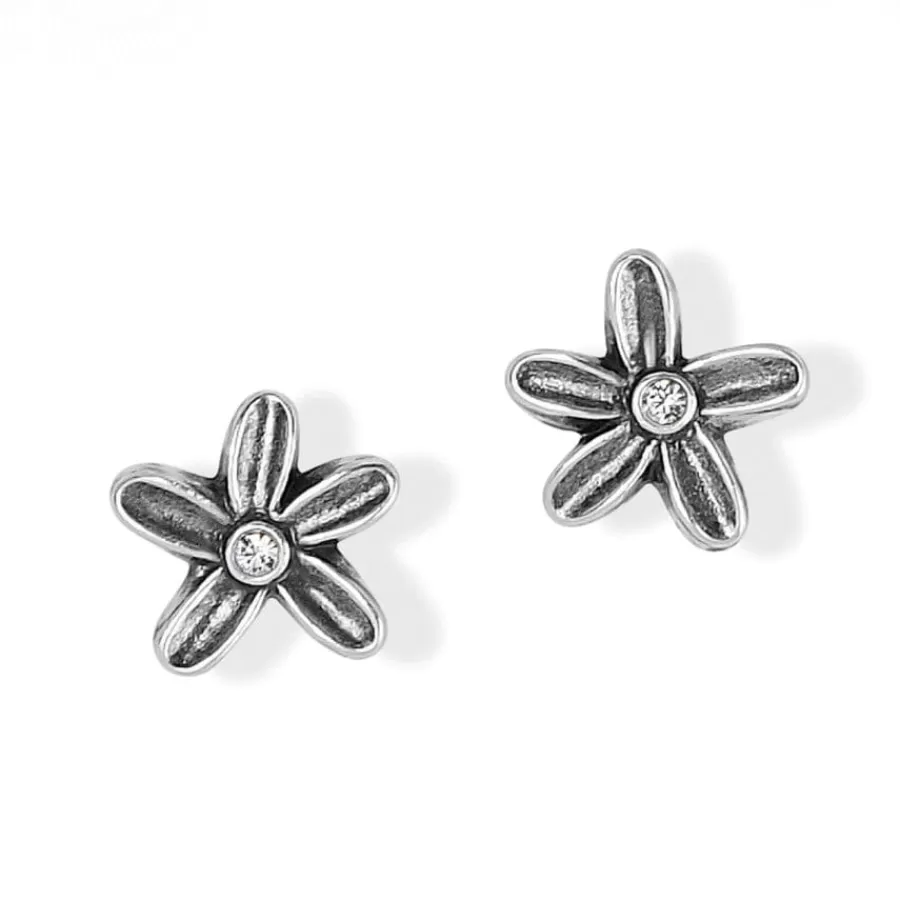 Earrings>Brighton Wild Flowers Post Earrings Silver